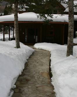 chauffage STEP WARMFLOOR 24 volts sous chemin bétonné contre neige et verglas- IRL France