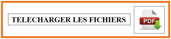 Telecharger les fichiers PDF IRL France